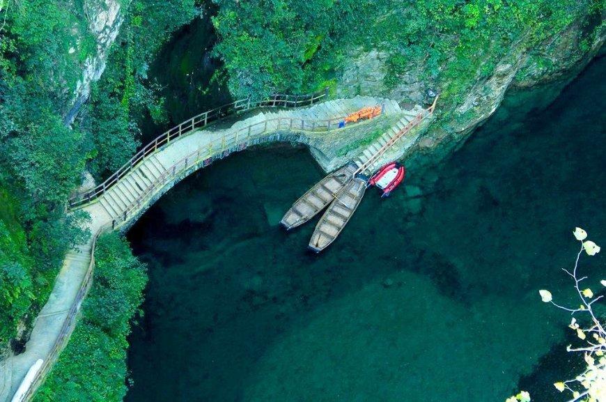 驾驶证会自动注销吗?-权威问答网站,解答你的疑问